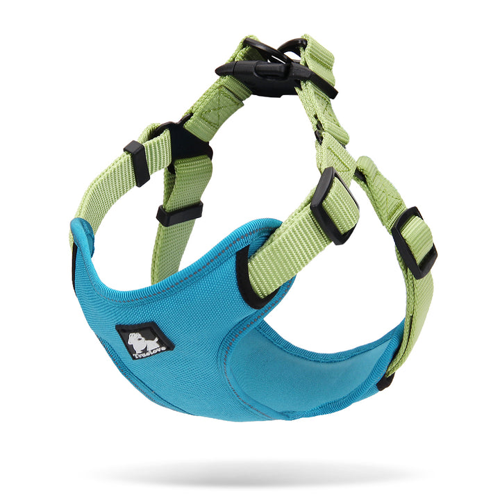 V188-ZAP-TLH5951-10-GREEN-S-TLH5951-Acidblue-Green_2_720x720-00 Urban Harness Blue/Green S - Image 1