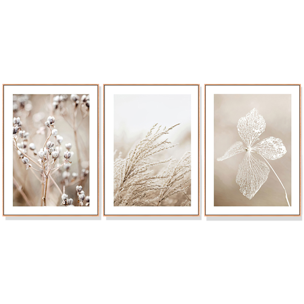 V207-1043_Dried-Flower-3-sets-wood_1 Wall Art 40cmx60cm Dried Flower 3 Sets Wood Frame Canvas - Image 1