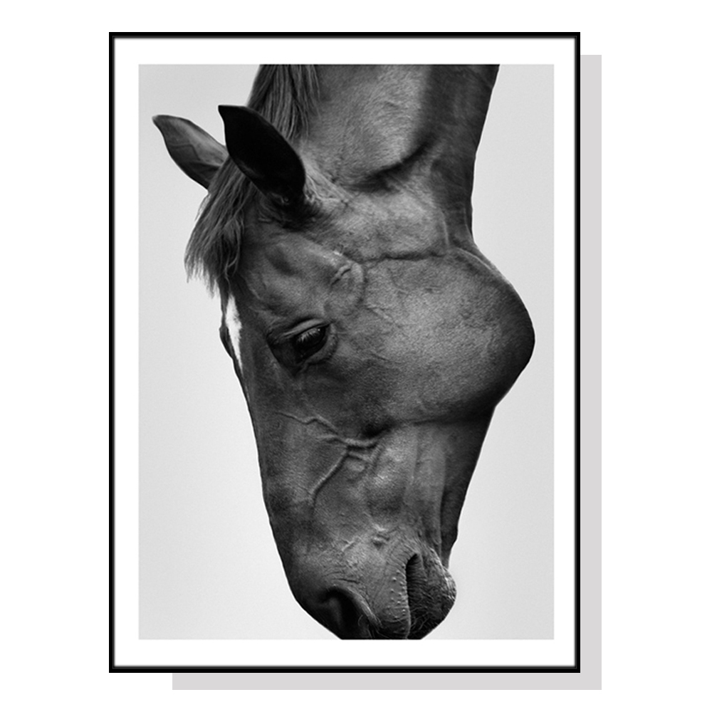 V207-1065_Modern-Black-Horse-black_1 Wall Art 60cmx90cm Modern Black Horse Black Frame Canvas - Image 1