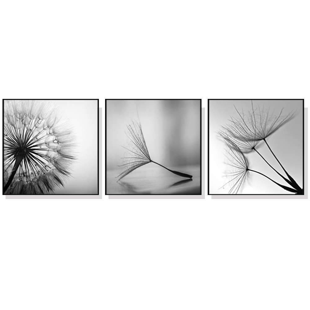 V207-1104_Botanical-dandelions-black-white-3-sets-black-_1 Wall Art 60cmx60cm Botanical dandelions 3 Sets Black Frame Canvas - Image 1