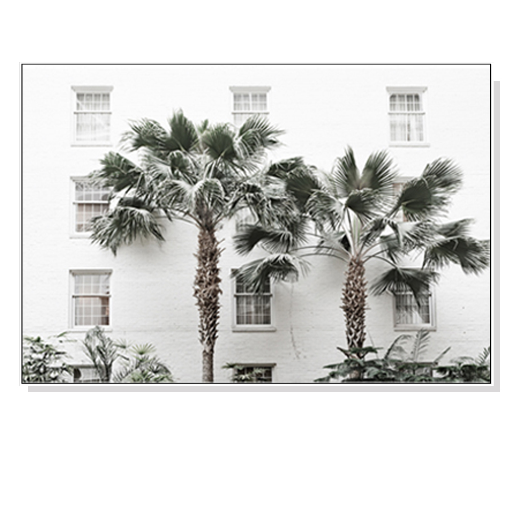 V207-1175_Palm-Tree-white_1 Wall Art 50cmx70cm Palm Tree White Frame Canvas - Image 1
