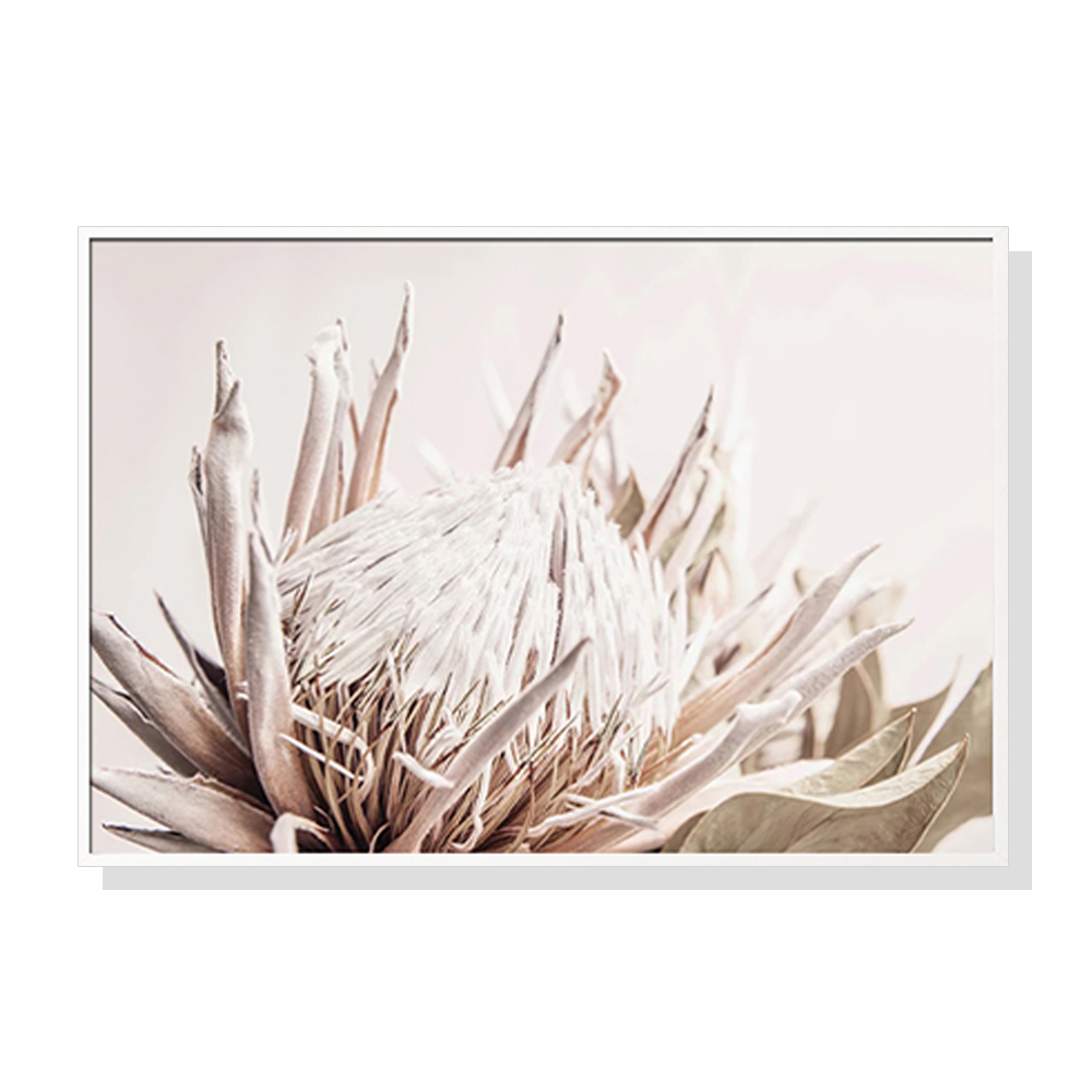 V207-16963-130907-00 Wall Art 100cmx150cm Pure Protea II White Frame Canvas - Image 1