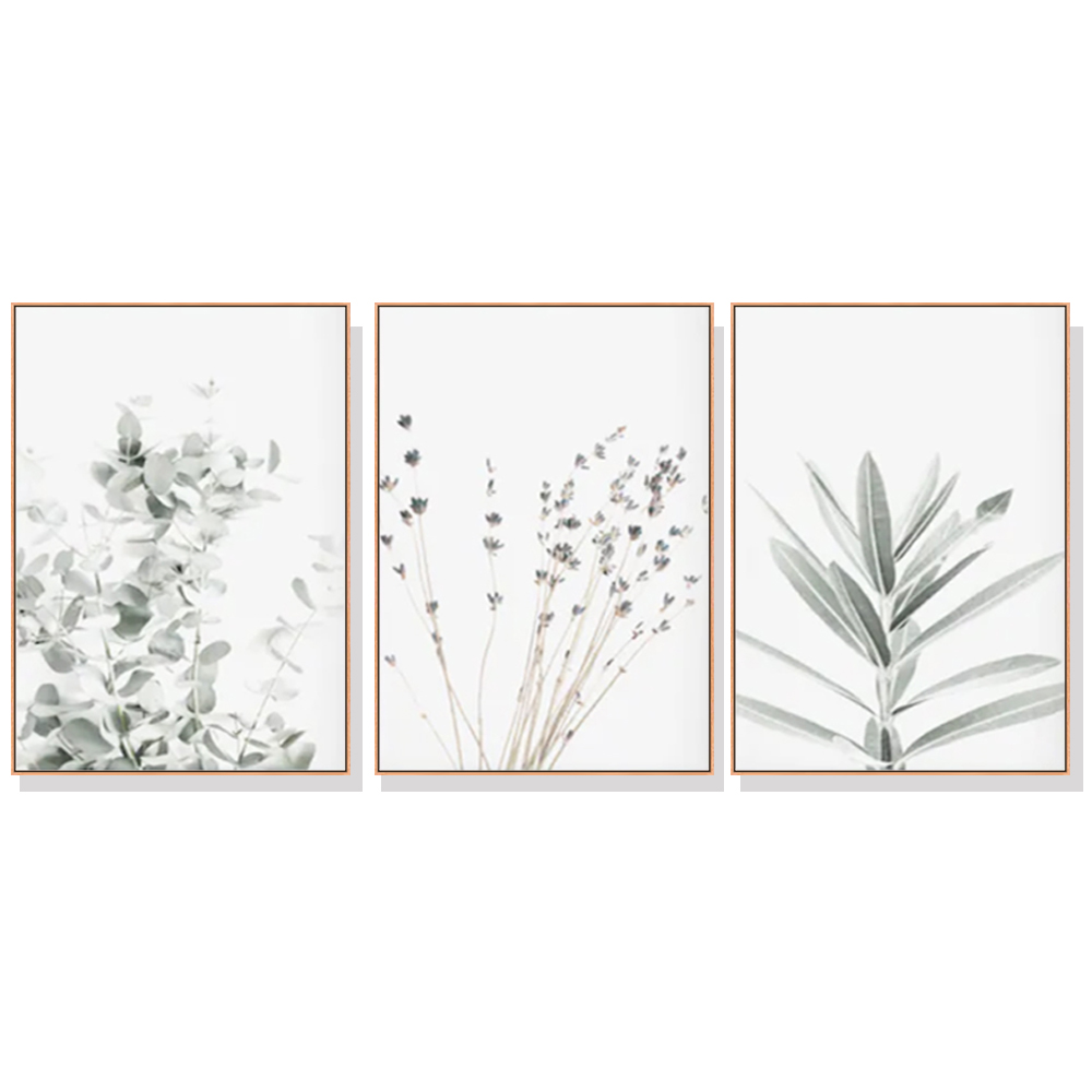 V207-19521-97764-00 Wall Art 70cmx100cm Lavender Eucalyptus 3 Sets Wood Frame Canvas - Image 1