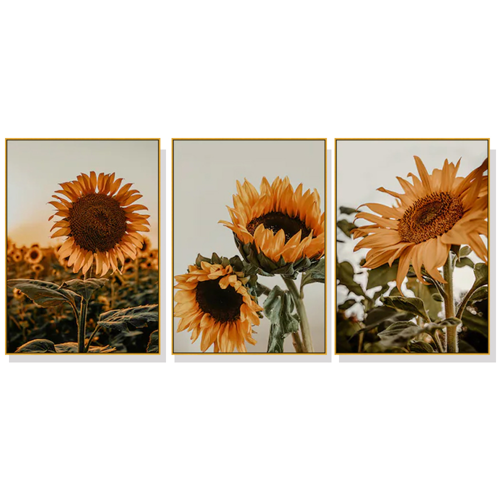 V207-2048-88971-00 Wall Art 60cmx90cm Sunflower 3 Sets Gold Frame Canvas - Image 1