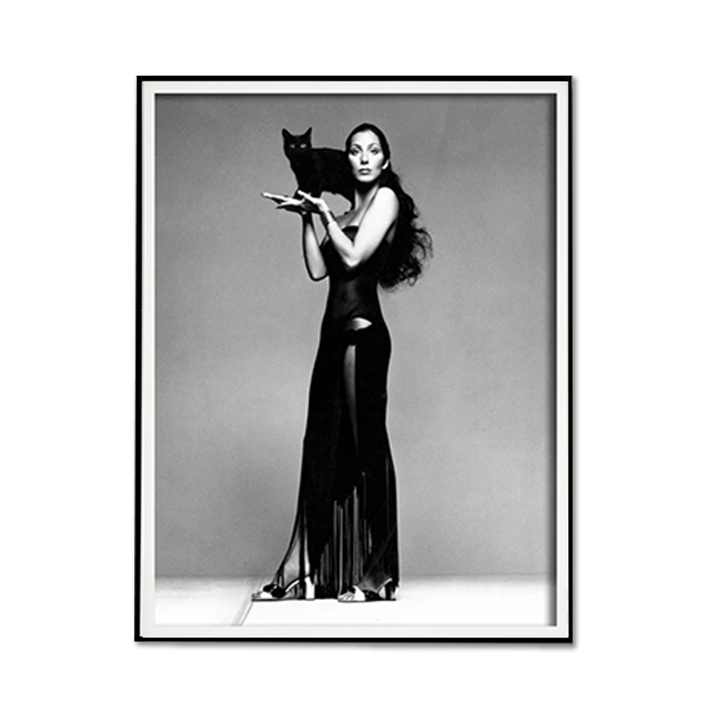 V207-2253-001-183912-00 Wall Art 30cmx40cm Cher Music Black and White, Black Frame Canvas - Image 1