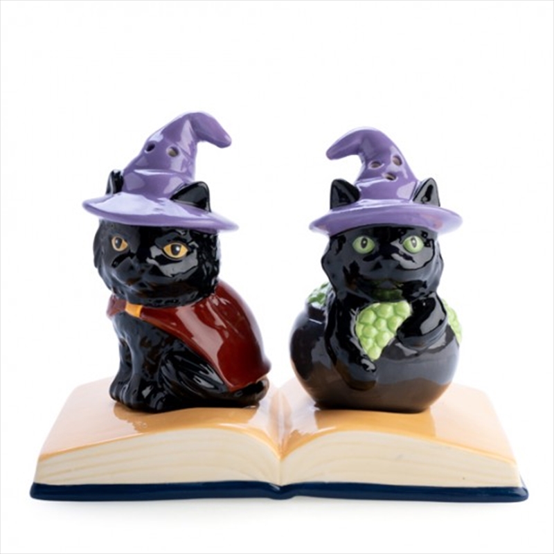 V210-2670026-SDC_2670026_2022-12-4-16-50-29-00 Black Cat Salt Pepper Set - Image 1