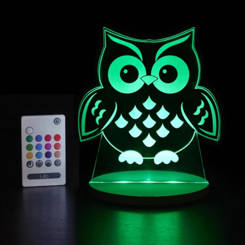 V210-2677137-SDC_2677137_2022-10-5-12-40-16-00 Tulio Dream Lights - Owl - Image 1
