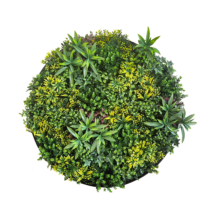 V278-CCGA136V031-FIREWORKS-69083-00 YES4HOMES Artificial Green Wall Plant Panel Disc Garden Flower Art 100cm Grassy UV Resistant-Fireworks Black Frame - Image 1