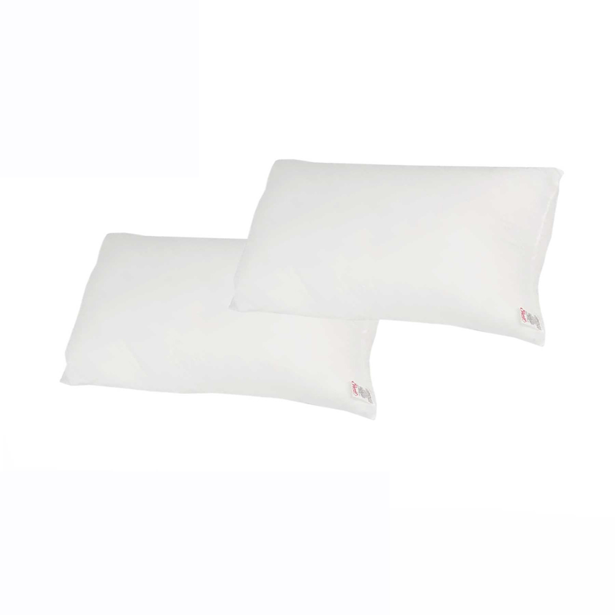 V442-ERT-PILLOW-EVERYDAY-WHITE-ST-78093-00 Easyrest Pair of Australian Made Everyday Standard Pillows - Image 1