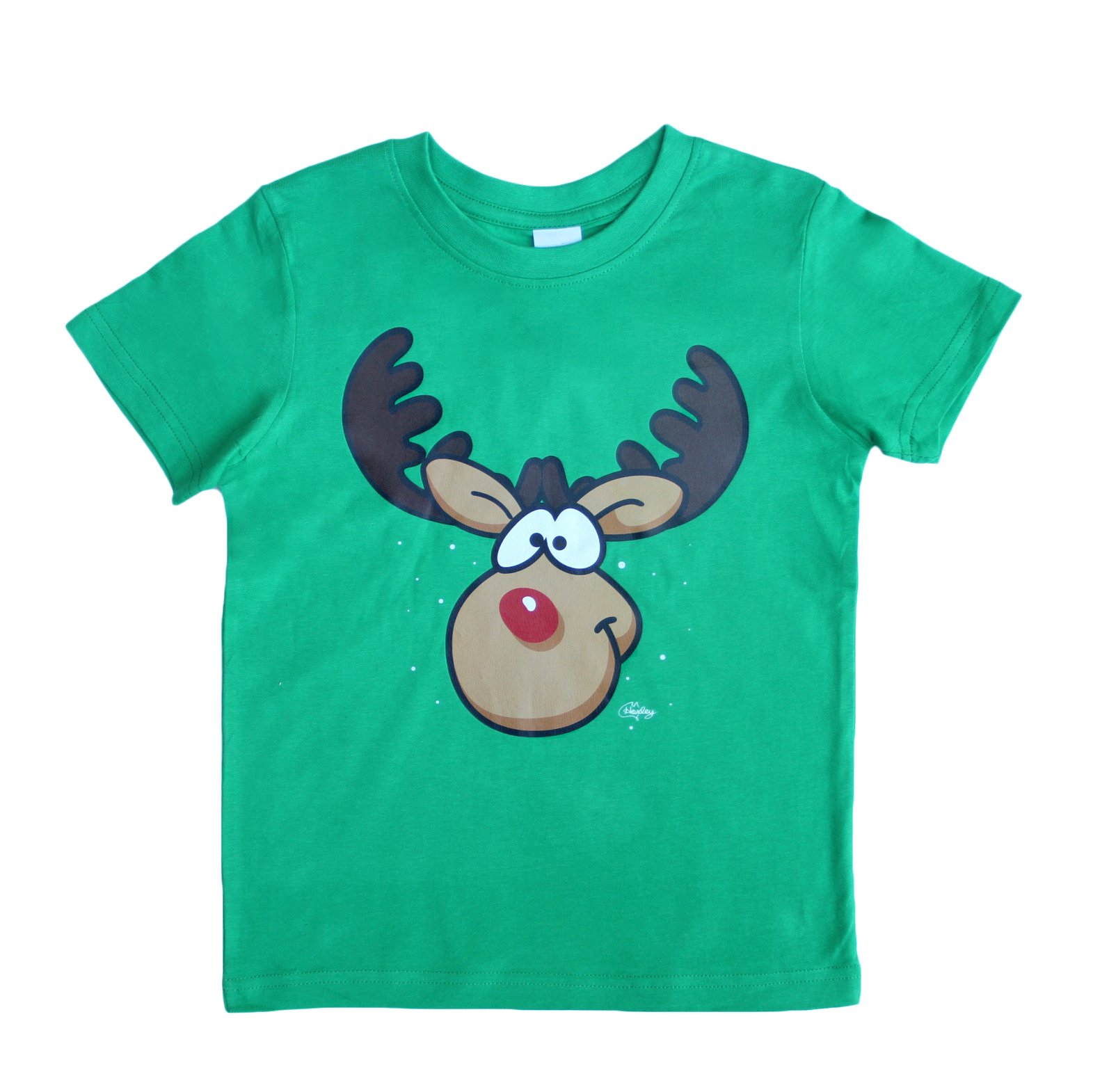 V474-290530-103426-00 New Funny Adult Xmas Christmas T Shirt Tee Mens Womens 100% Cotton Jolly Ugly, Reindeer (Green), 2XL - Image 1