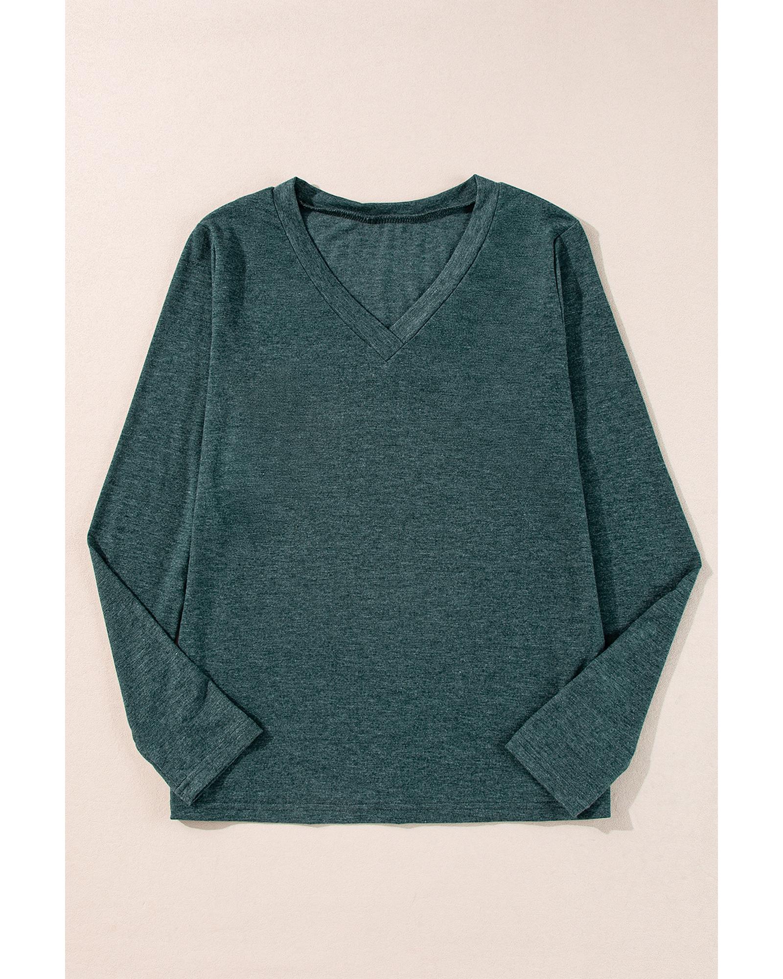 V539-AZEXDC25129298-P509-M-202508271025-00 Mist Green Solid Color Long Sleeve V Neck Top - M - Image 1