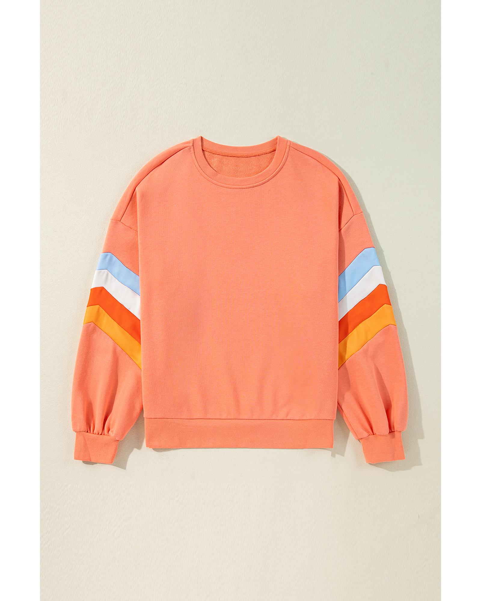V539-AZEXDC25317496-P9014-M-202508280750-00 Flamingo Rainbow Striped Sleeve Crew Neck Loose Sweatshirt - M - Image 1