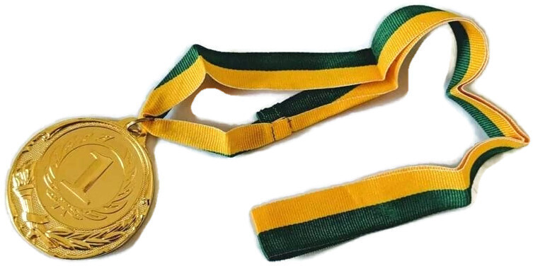 V563-2142-184664-00 METAL WINNER GOLD MEDAL 1st Party Favours Sports Day 40cm Ribbon - Green/Gold - Image 1