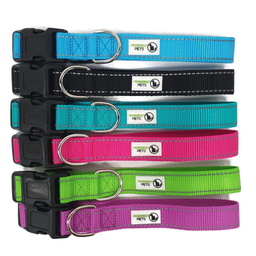 V631-MDPCOLREFXLTUR-185979-00 Nylon w/Reflective Stitching Dog Collar X-Large Turquoise - Moondidley Pets - Image 1