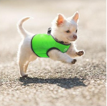 V631-MDPVESTXSLBLU-186048-00 Vest Harness Pet Dog-Cat Step-in Velcro and Buckle Attachments - Moondidley Pets X-Small Light Blue - Image 1