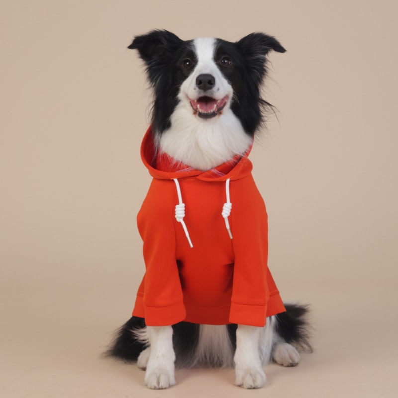 V888-ELOSUNG19170-227283-00 6XL Orange Cute Dog Hoodie with Adjustable Drawstring - Available in Various Sizes - Image 1