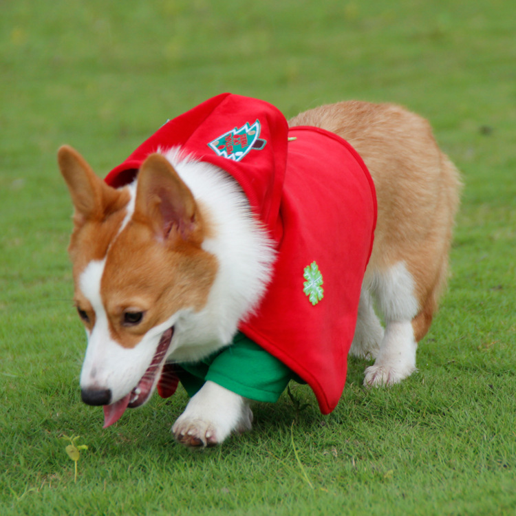 V888-ELOSUNG26956-202505191237-00 Christmas Dog Costume - Festive Hooded Cape & Green Jumpsuit Outfit (Size : 4XL) - Image 1