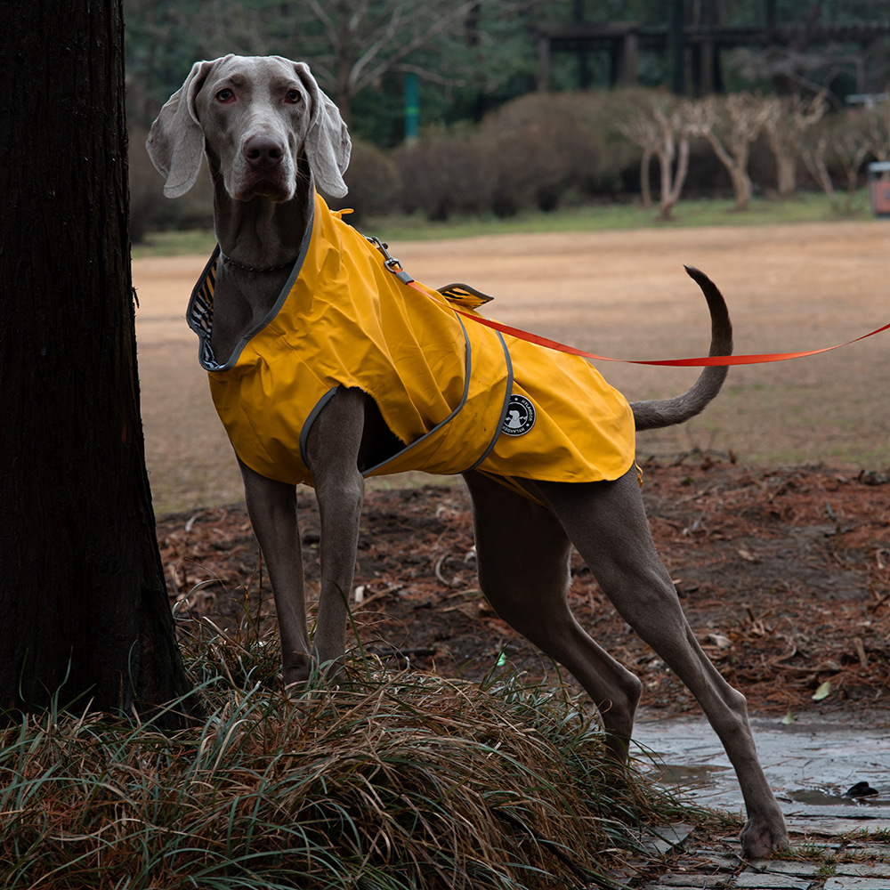 V888-ELOSUNG28745-202505191346-00 55# Yellow Waterproof Reflective Dog Raincoat for Small to Large Dogs - Image 1