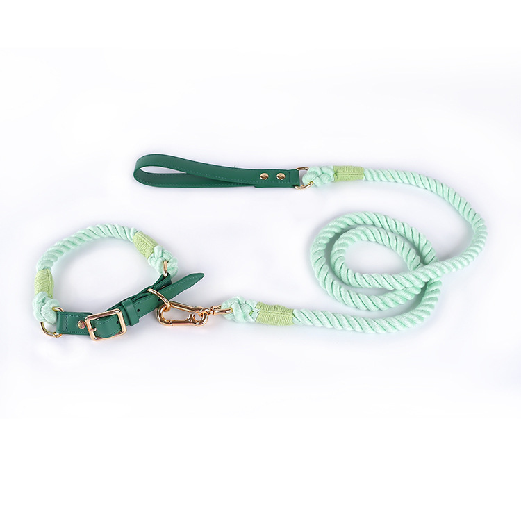 V888-ELOSUNG31093-202505231237-00 Premium Leather Pet Collar and Leash - Soft, Strong Braided Rope (Green - Size M) - Image 1
