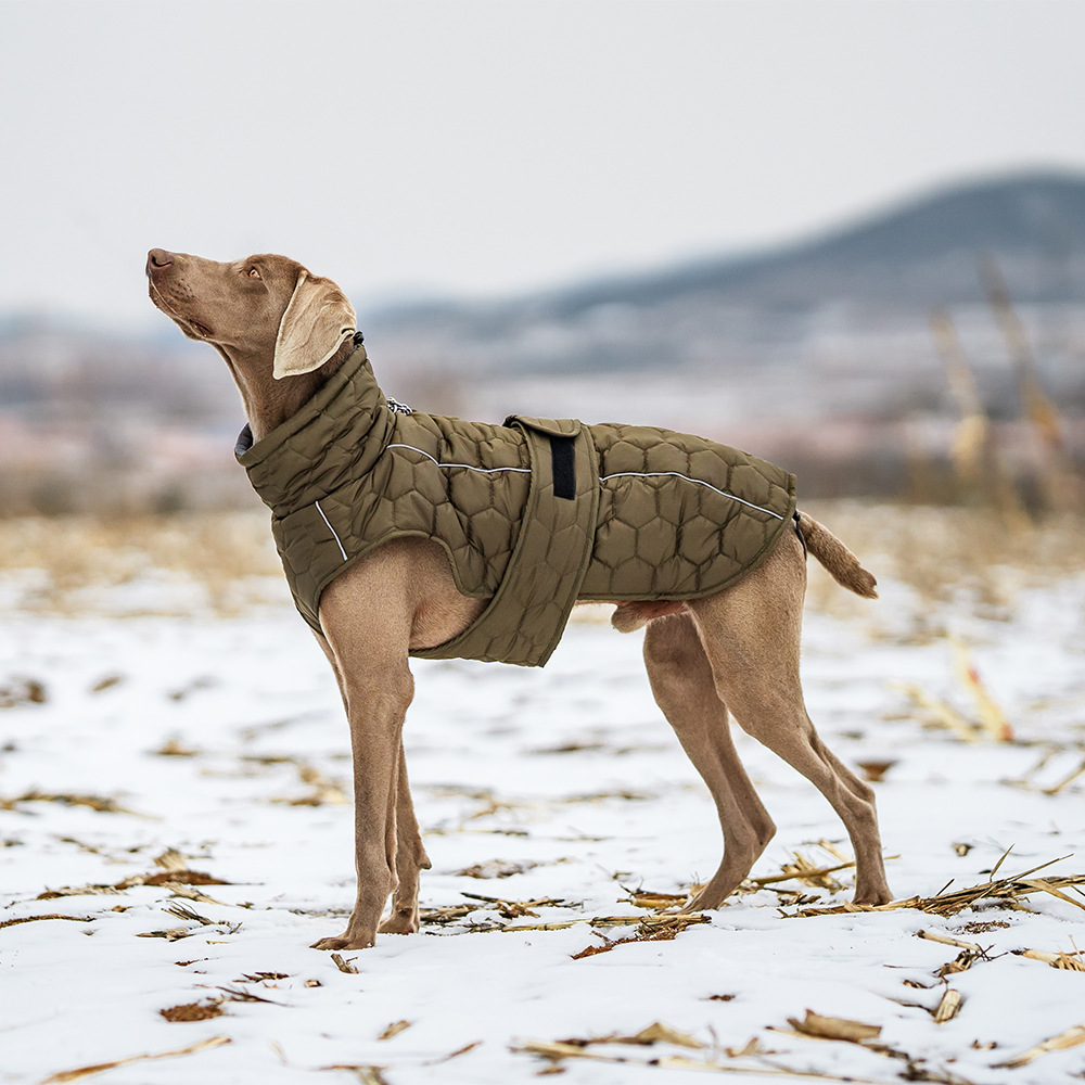 V888-ELOSUNG32050-202505261530-00 Size M Olive Green Warm Quilted Dog Winter Coat - Adjustable Fleece-Lined Puffer Vest with Reflective Trim & Leash Port - Image 1