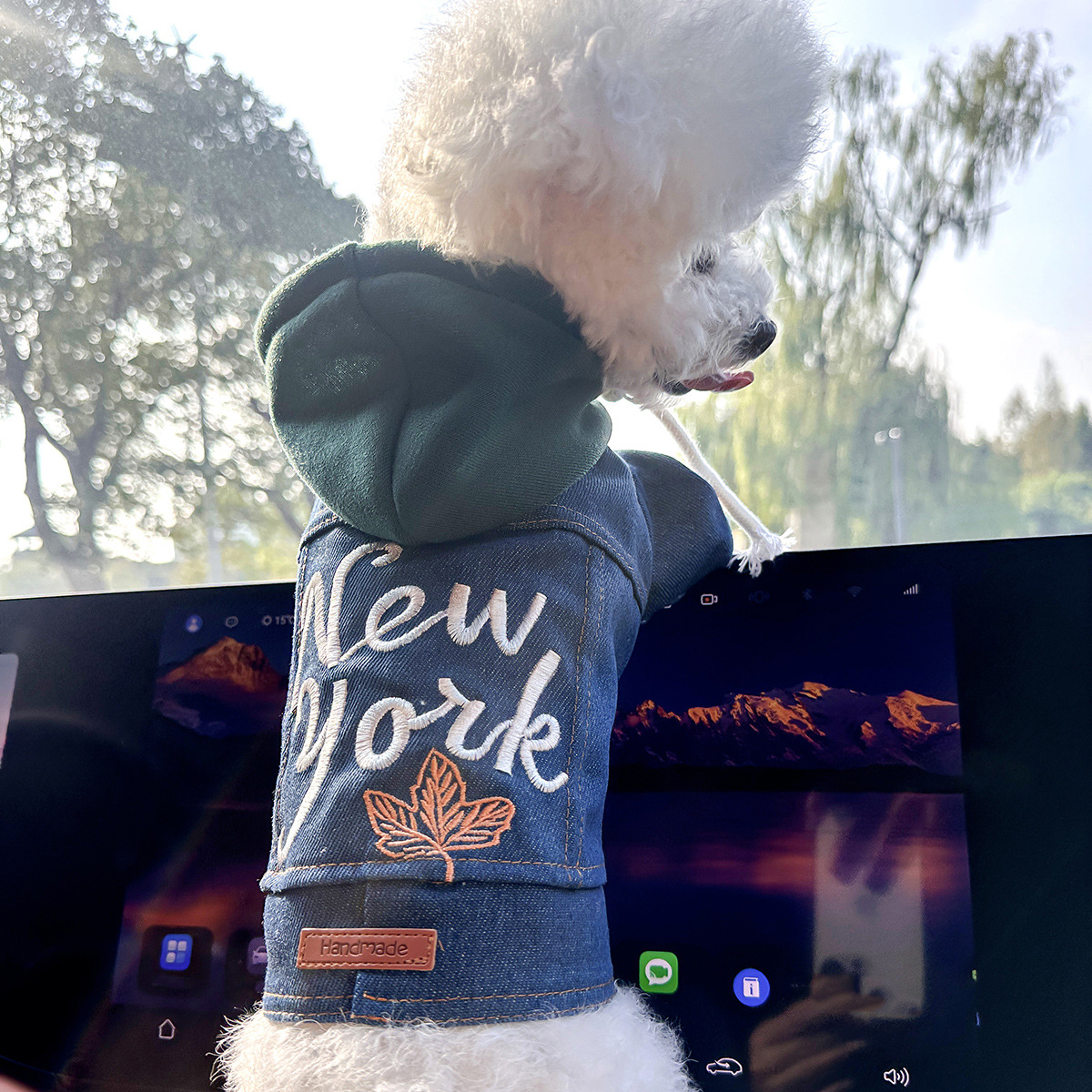 V888-ELOSUNG33104-202505301136-00 XS Around 2kg New York Denim Chic Denim Pet Vest - Stylish Jean Jacket for Dogs & Cats - Spring, Summer & Autumn Fashion - Image 1