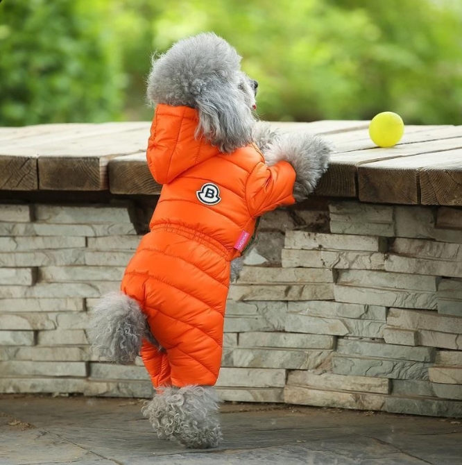 V888-ELOSUNG34323-202506301106-00 Orange Warm Puffer Dog Coat - Waterproof Four-Legged Winter Jumpsuit for Small Dogs - Image 1