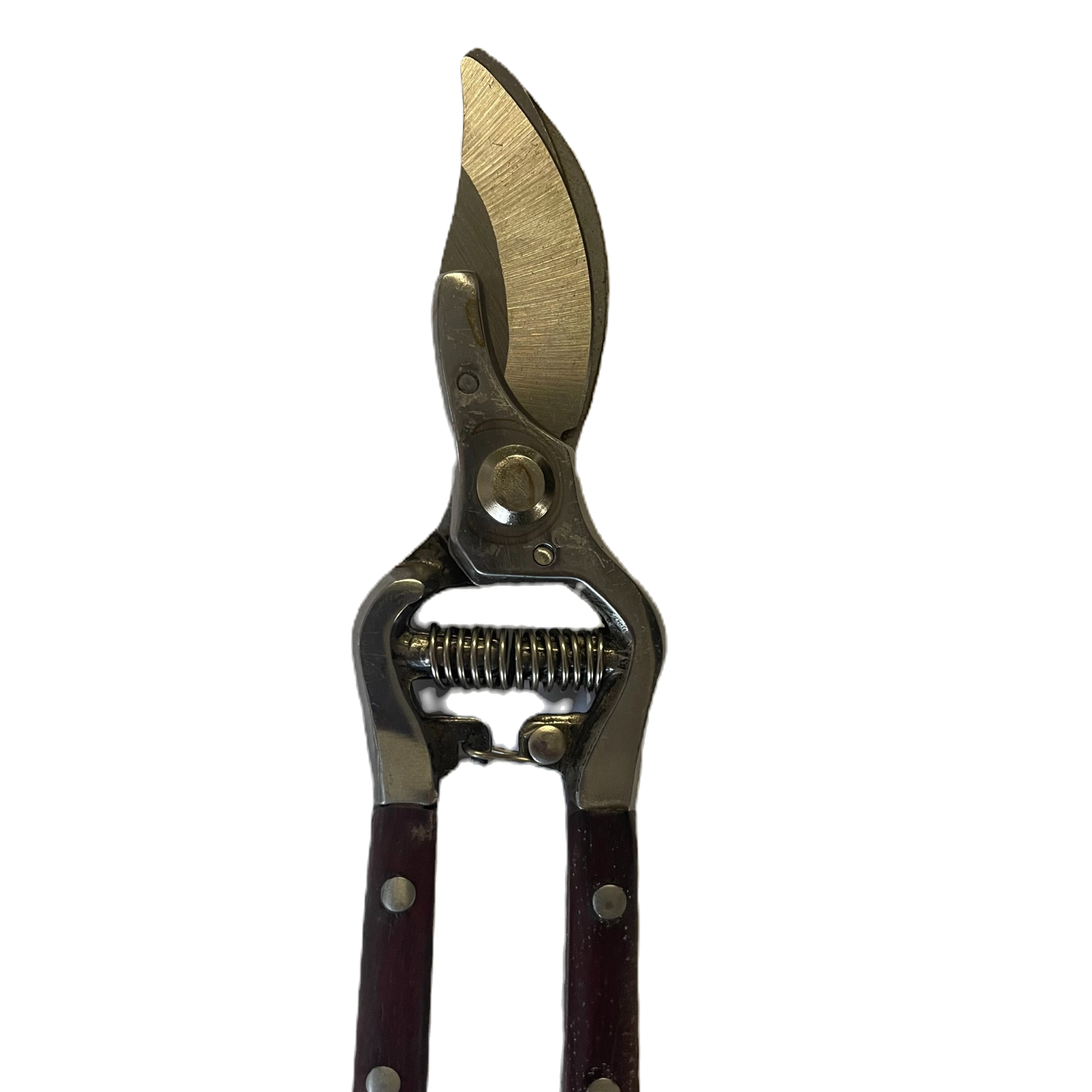 V925-TQT3-209552-00 Curved Pruning Shears | Wood & Metal Handle - Image 1