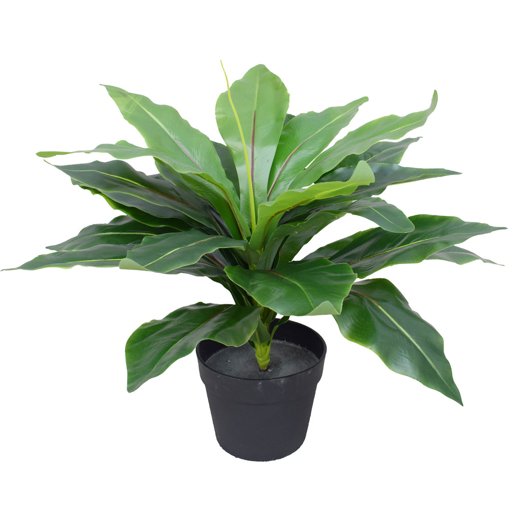 birds_nest_fern-1_8 Artificial Potted Wide Leaf Birds Nest Fern 50cm - Image 1