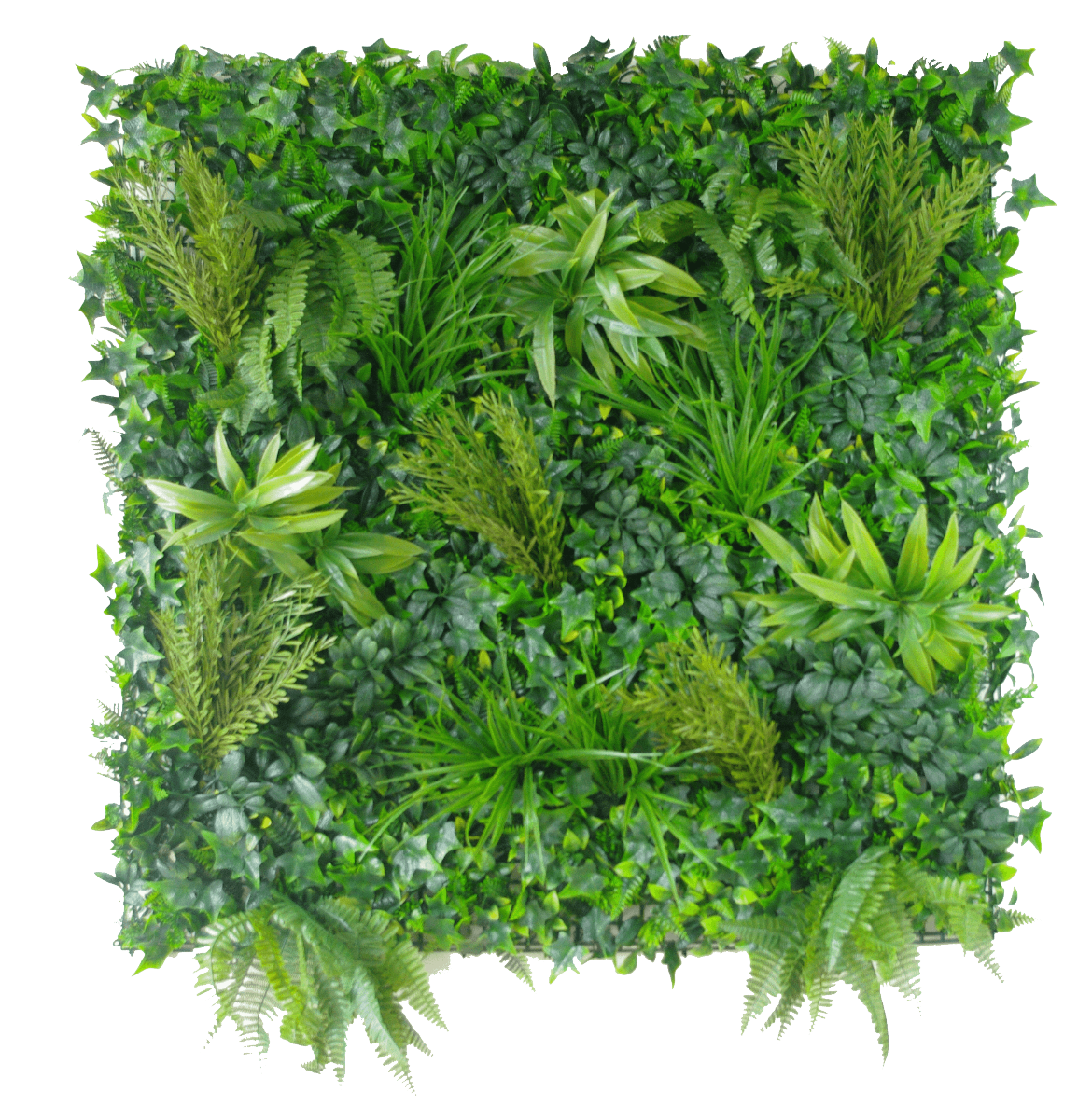 native-tea-tree1_1__8 Native Tea Tree Vertical Garden / Green Wall UV Resistant 100cm x 100cm - Image 1