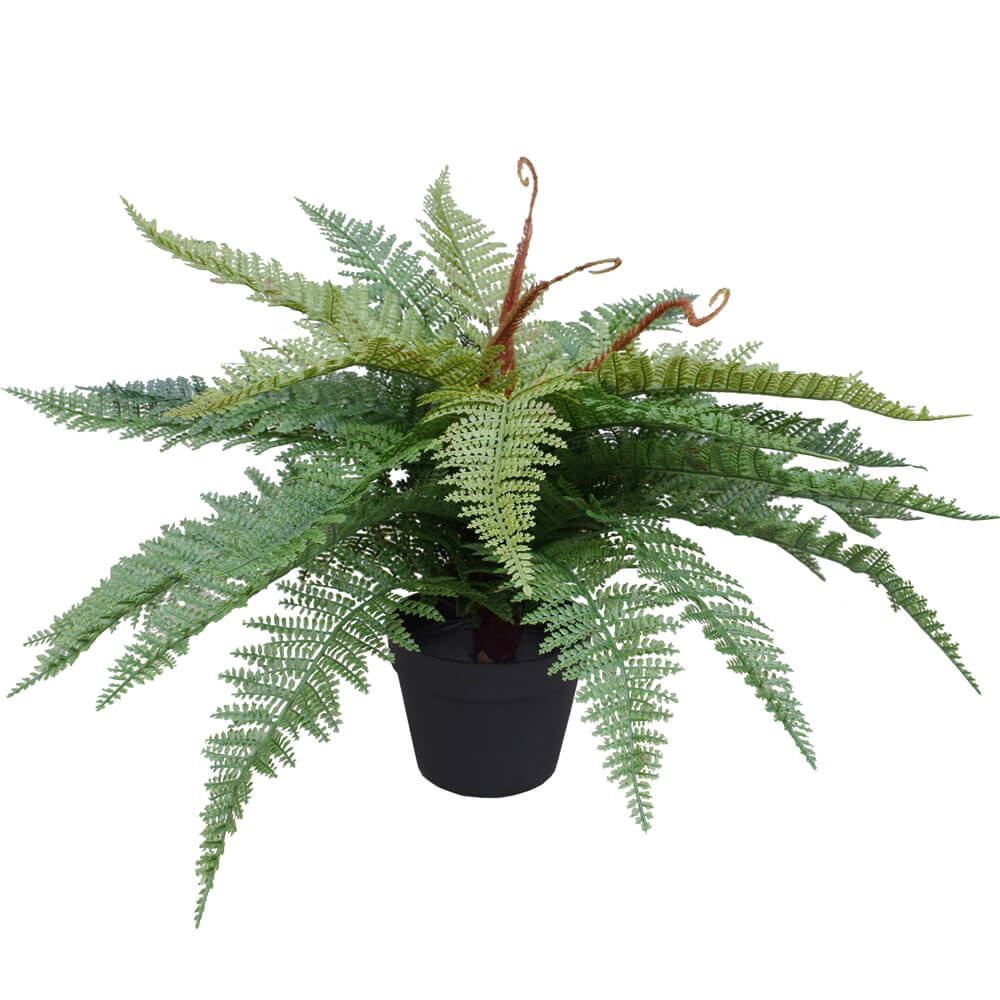 potted_fishtail_1__9 Artificial Potted Fishtail Fern 55cm - Image 1