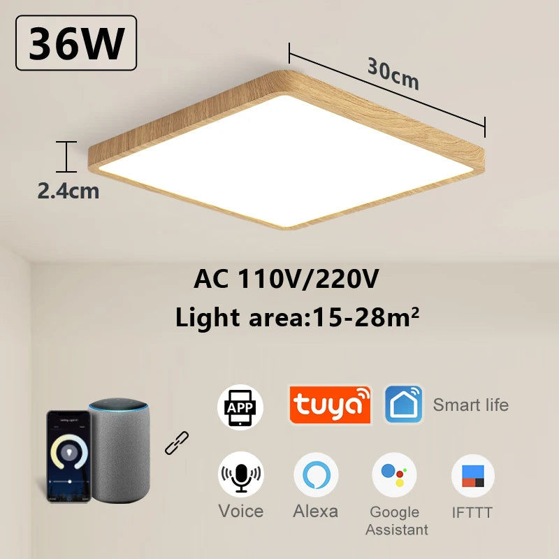 V178-62219-202508050910-00 Smart LED Ceiling Lamp Voice Control App - Image 1