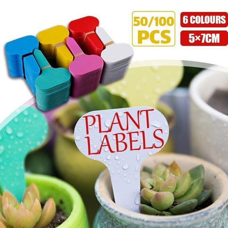 V528-9360312079196-202509302009-00 T Plant Labels 50-100Pcs 6 Colours Garden Stakes Markers Tags Nursery Seedling - Blue - Image 1
