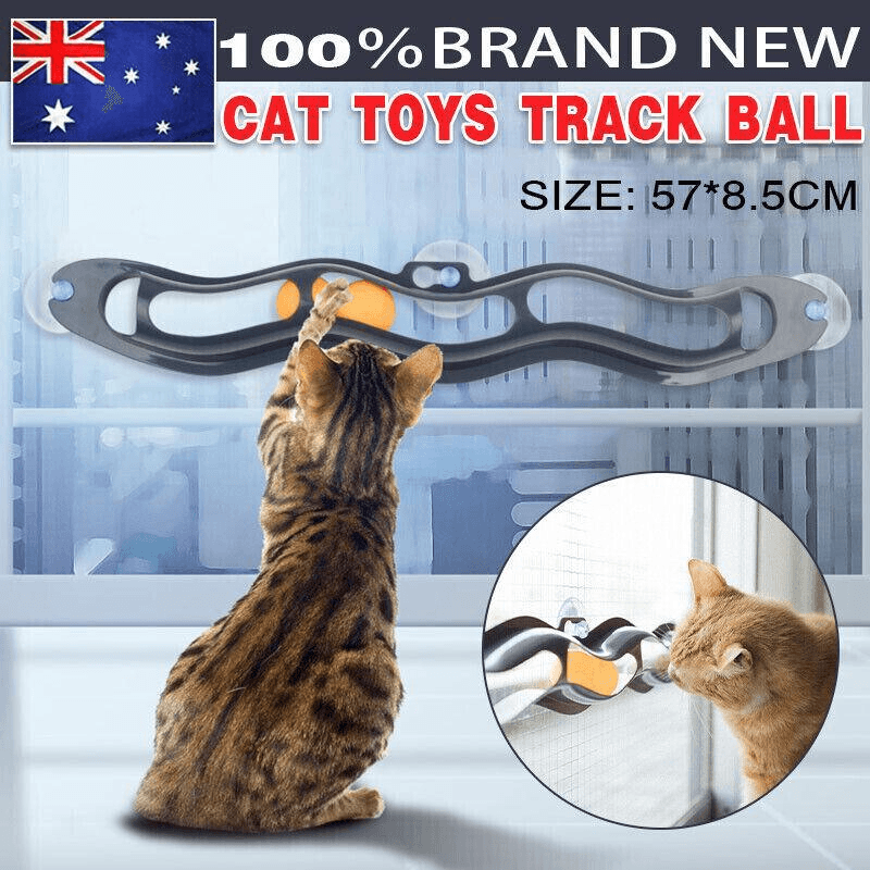 V528-CATTOY-49164-202509291736-00 Interactive Cat Track Ball Toy with Window Suction Cup for Indoor Play and Exercise - Image 1