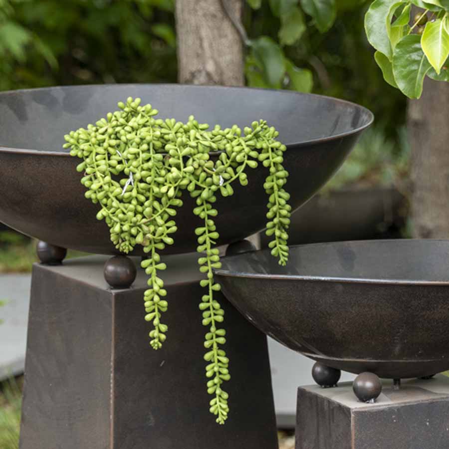 V637-05018PRL-202508251420-00 Faux Long String Of Pearls 74cm - Image 1