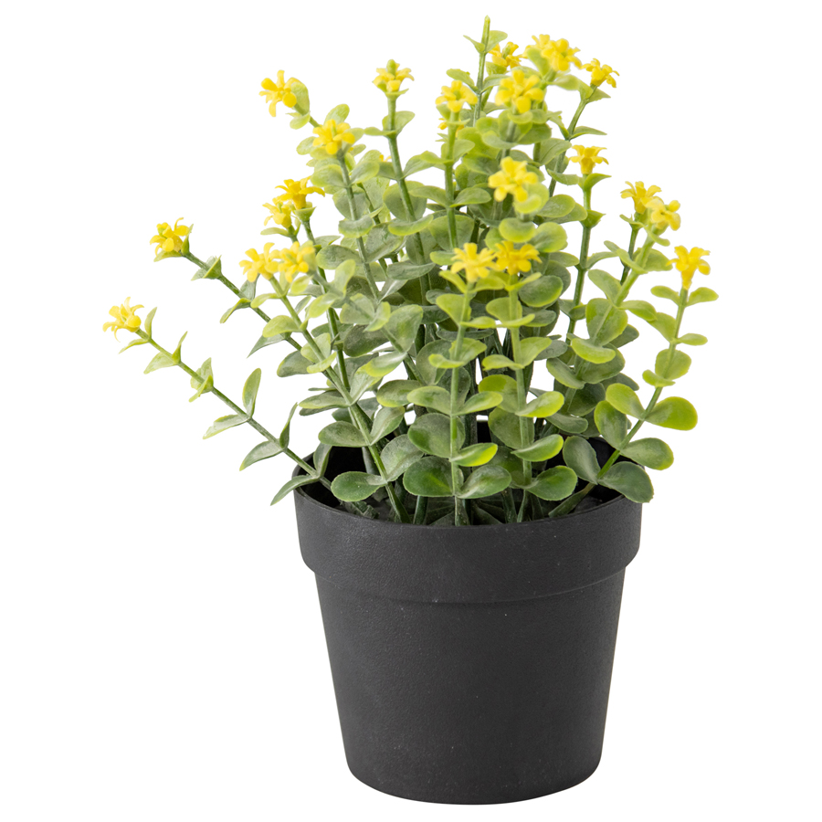 V637-05067FLW-202508251425-00 Potted Artificial Plant w Wild Flower 20cm - Image 1