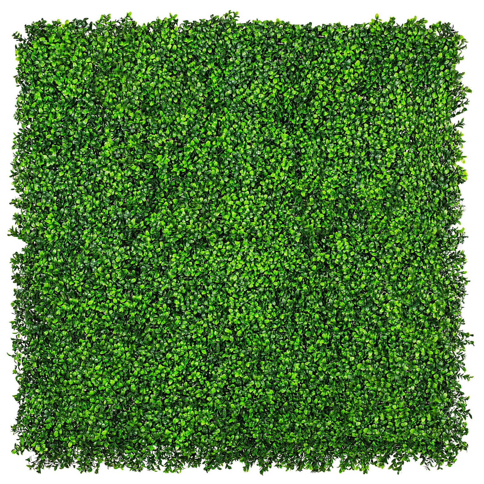 V637-1005795-202508251320-00 Luxury Deluxe Buxus (Bright) Hedge Panels UV Resistant 1m X 1m - Image 1