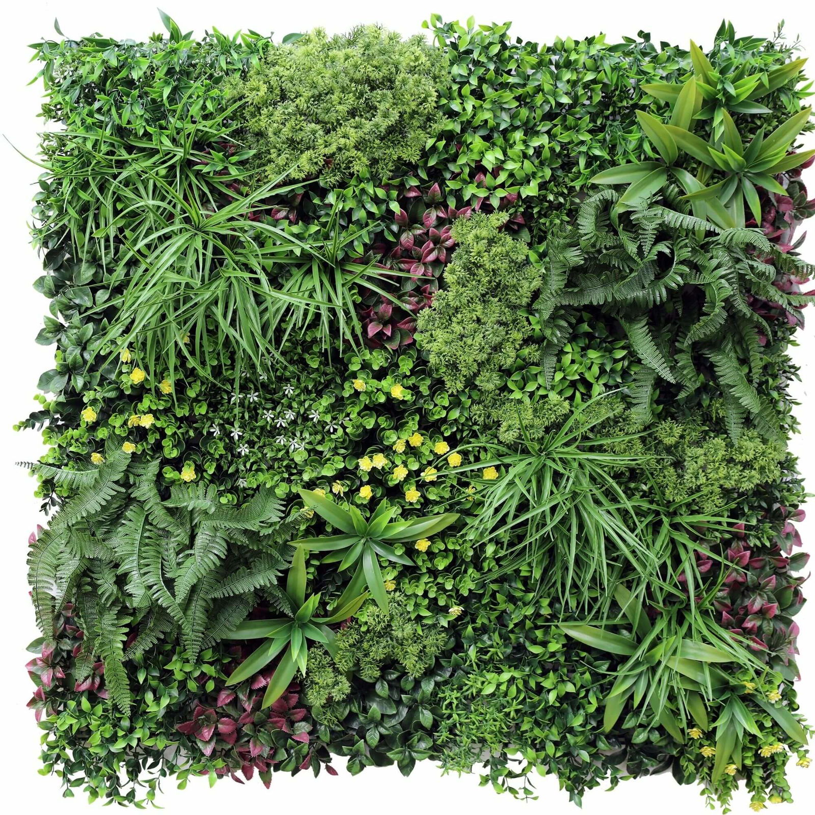 V637-1097773-1-202508251440-00 Luxury Country Fern Recycled Vertical Garden / Green Wall UV Resistant 100cm X 100cm - Image 1