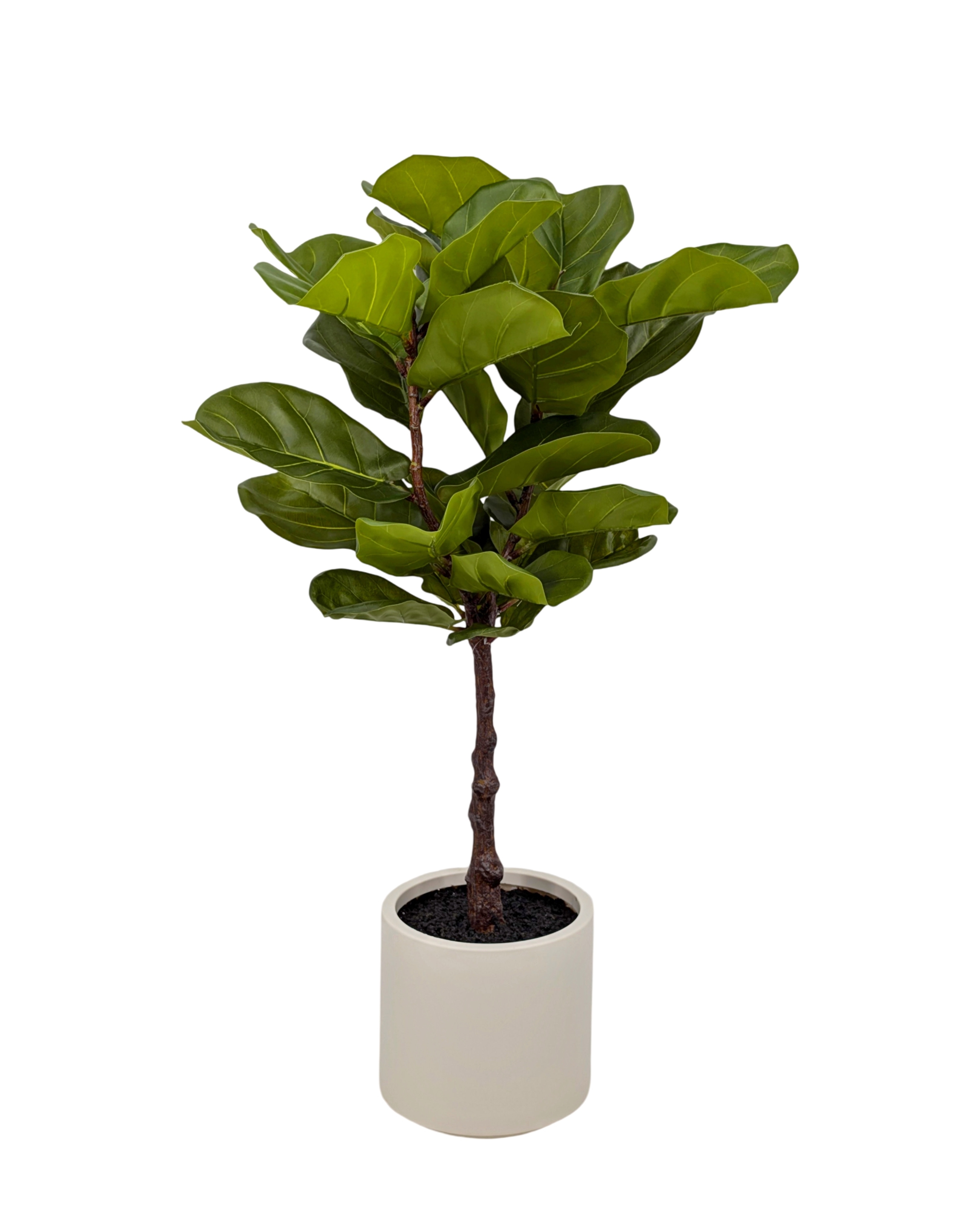 V637-AFL35441-202508251704-00 Artificial Real Touch Fiddleleaf Tree 100cm - Image 1