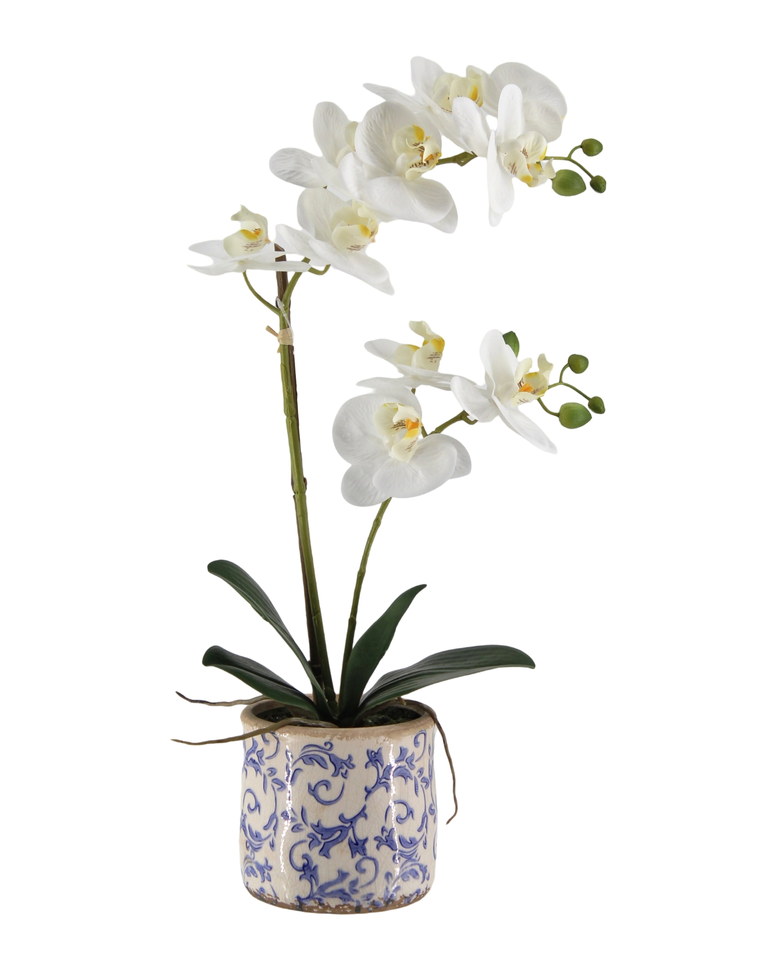 V637-AFL36984-202508251720-00 Real Touch Artificial Orchid in Ceramic Pot 53cm - Image 1