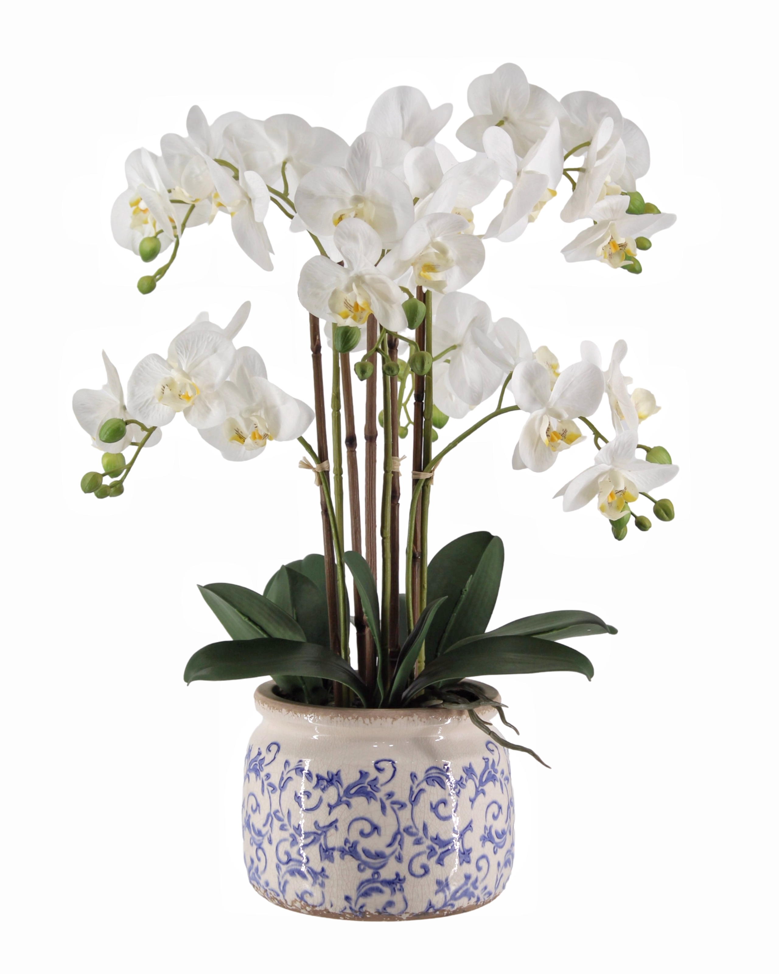 V637-AFL36985-202508251720-00 Real Touch Artificial Orchid in Pot 61cm - Image 1