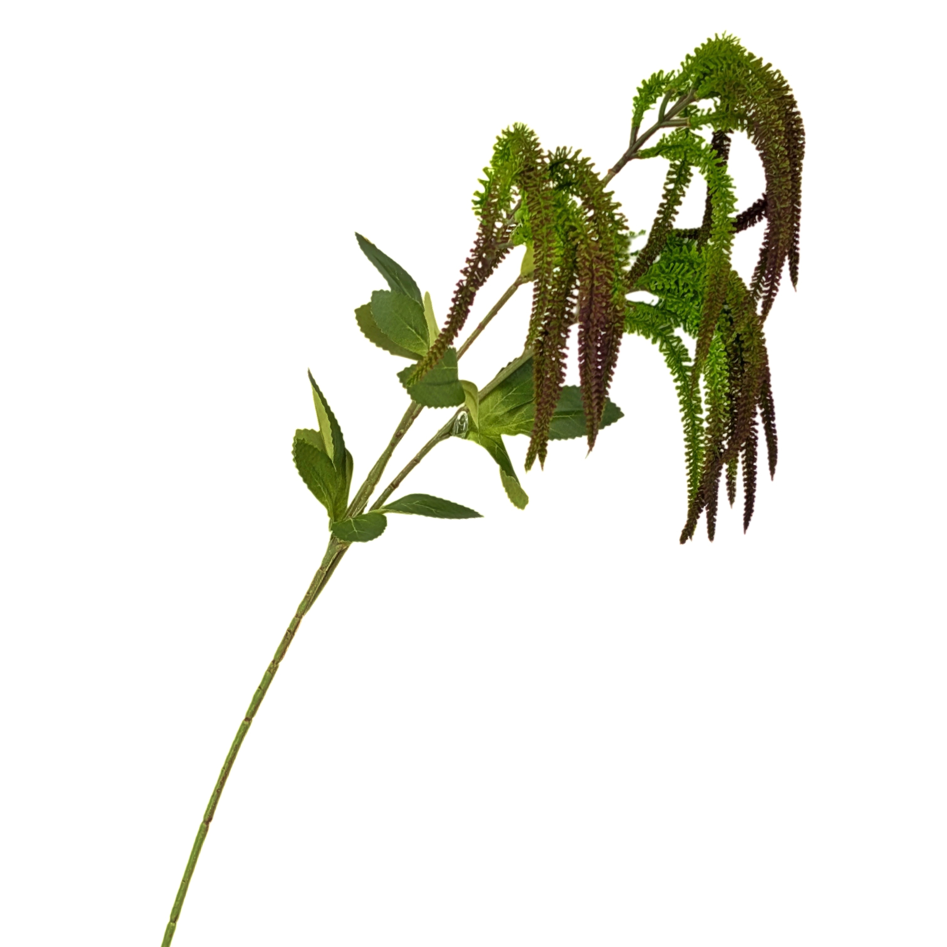 V637-AFL37041-202508251730-00 bulk 24 Artificial Amaranthus Stem 3 Branches 2 Assort 75cm - Image 1