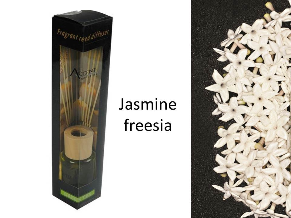 V637-INC22618-202508252215-00 bulk 24 Scented Oil Diffuser Jasmine Freesia 50Ml 8 Rattan Sticks - Image 1