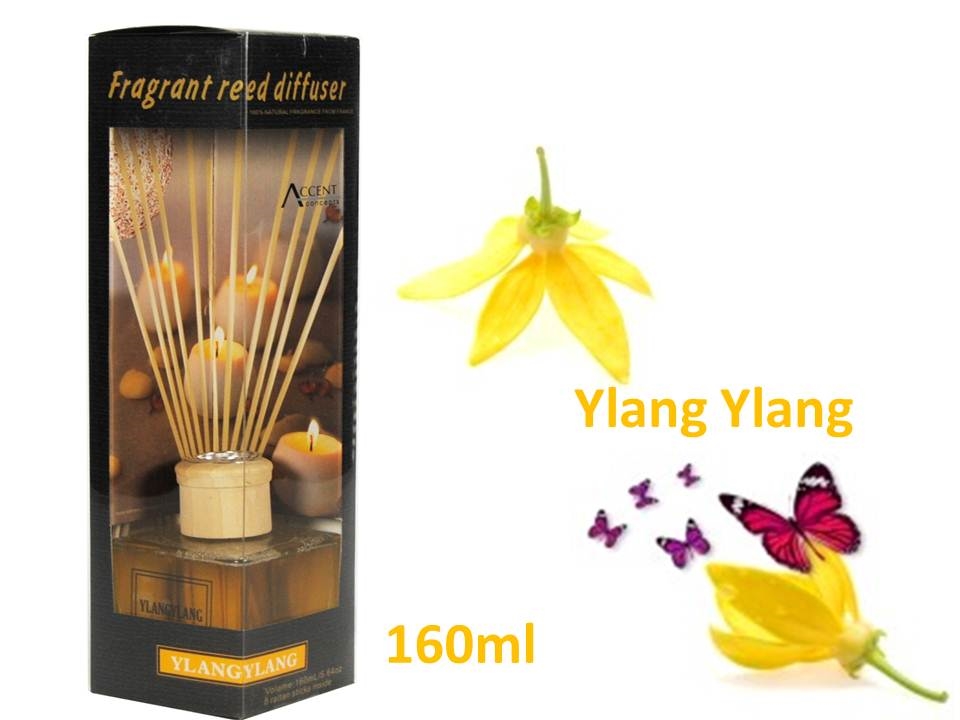 V637-INC4255-202508252235-00 bulk 12 Fragrant Oil Diffuser Ylang Ylang 160Ml 12 Rattan Sticks - Image 1