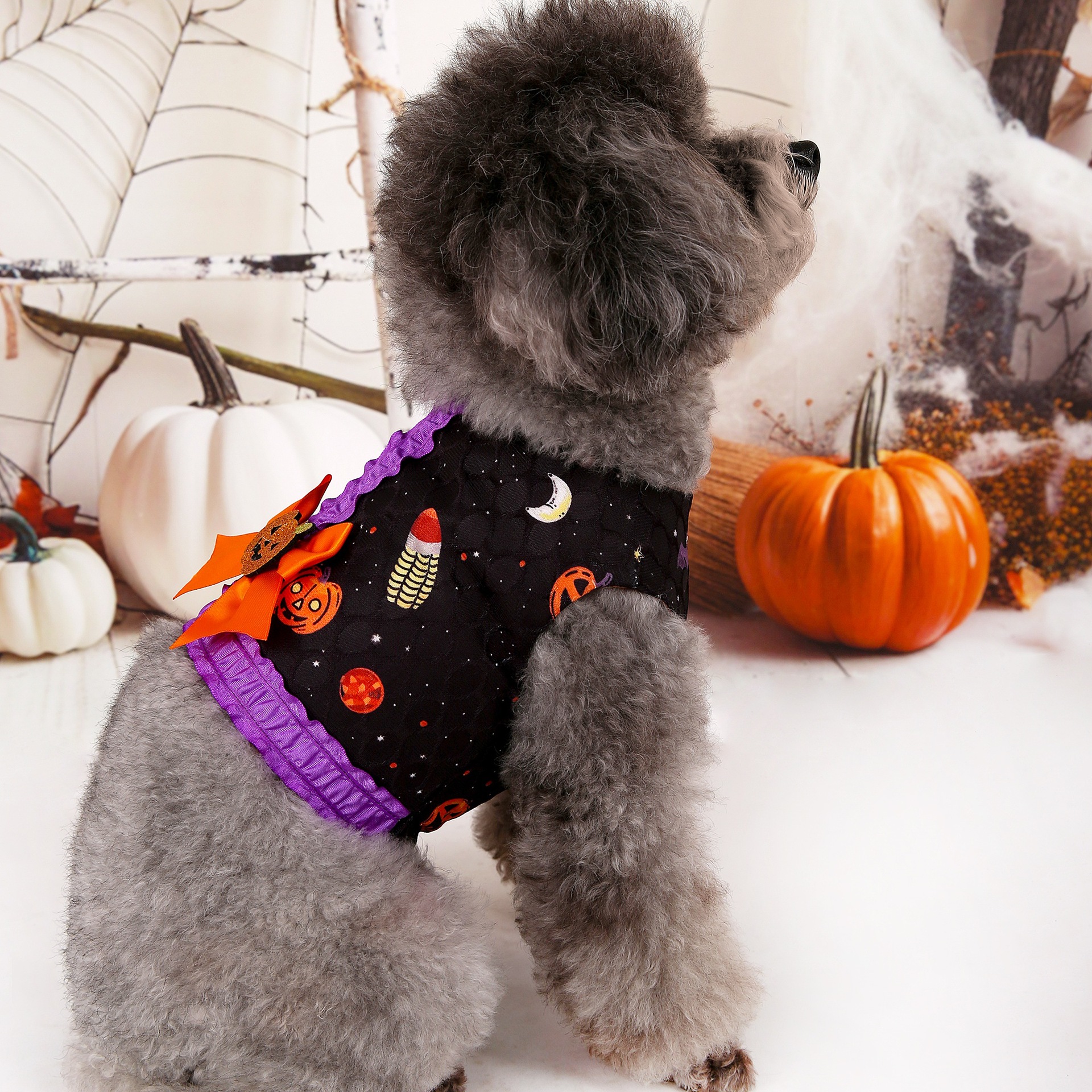 V888-ELOSUNG33891-202509091720-00 S Halloween Pumpkin Dog Harness Dress - Festive Costume Vest with Leash Ring for Small Dogs - Image 1